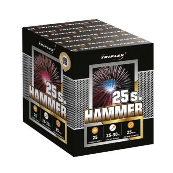 TXB540 - BATERIA HAMMER 25S 1"